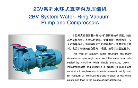 2BV水环式真空泵图片